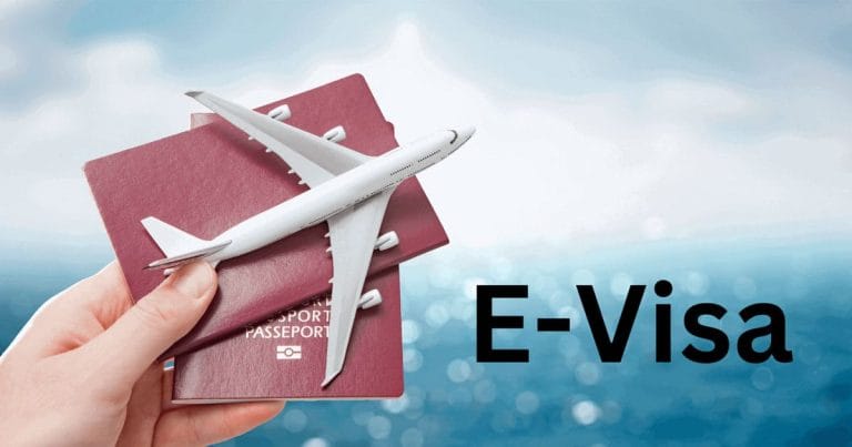 E-visa