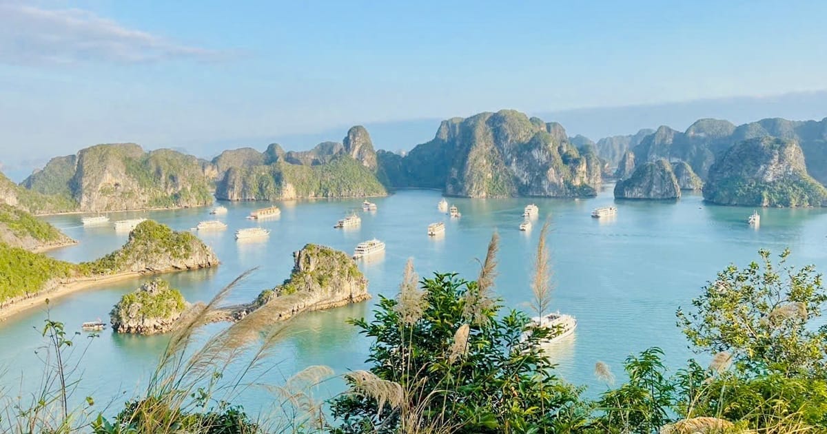 Ha-Long-Ti-Top-cave Ha-Long-Ti-Top-cave