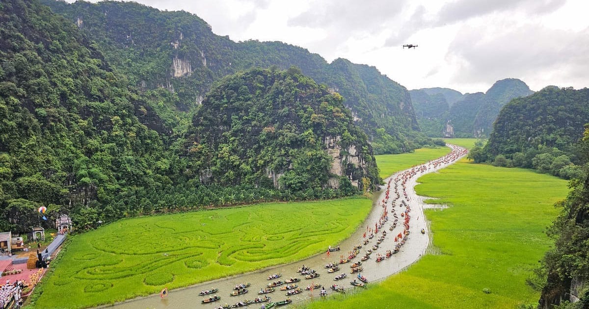 Ninh-Binh-rice-field Ninh-Binh-rice-field